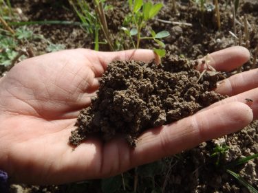 Tavaszi talajelemzés, talajvizsgálat!