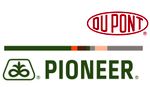 Egyre többen választják a DuPont Pioneer repcehibrideket