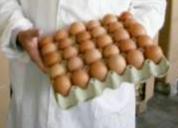 “Állatbarát magyar tojás” védjeggyel a piacon…
