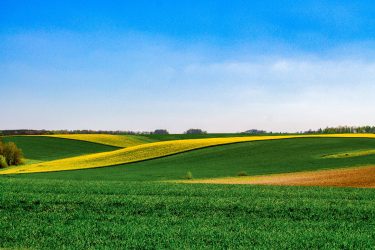 Ésszerű reform kell az uniós agrárpolitikában (első rész)