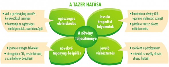 TAZER 250 SC – a zöld energia