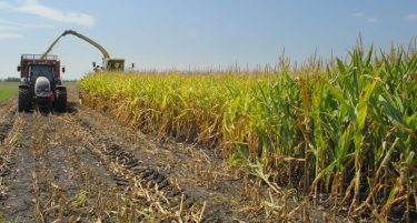 Megint durván erősít az ukrán gabonapiac