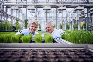 A BASF 25%-kal növeli mezőgazdasági innovációit