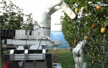 almaszedő robot