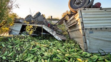baleset kukoricaszállítás