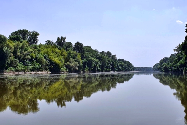 A Duna egy szakasza