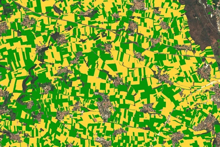 kukorica térkép