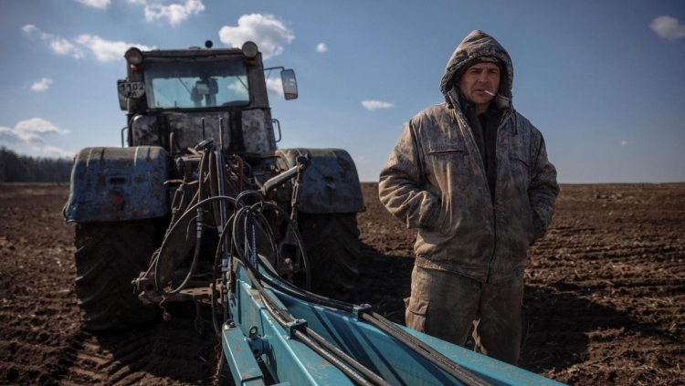 ukrán mezőgazdaság