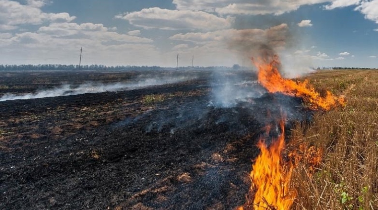 Égető magyar rekord a sok mezőgazdasági és erdőtűz
