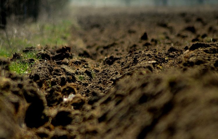 A talajok minősége, termékenysége és egészsége – nem azonos kategóriák