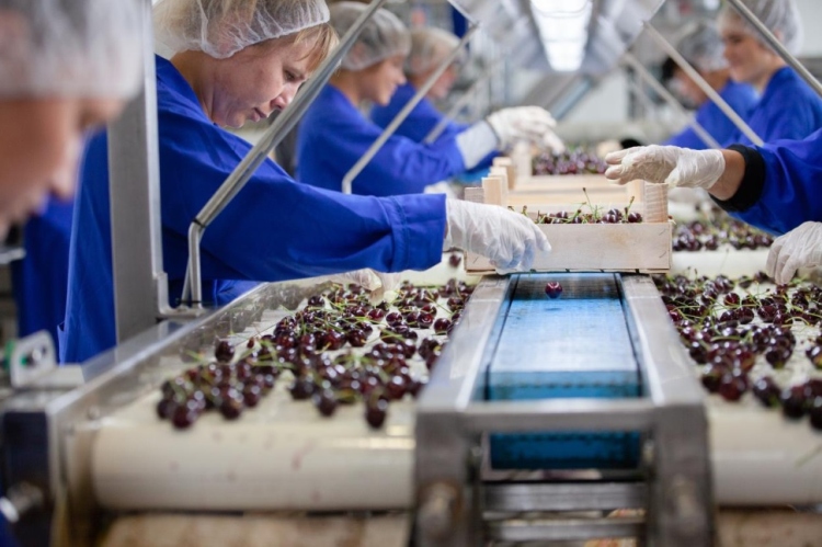 Vámmentes gyümölcspiaccal csalogatja Moldovát az EU