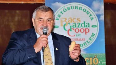 Szabó Lajos, a Bács Gazda-Coop ügyvezetője