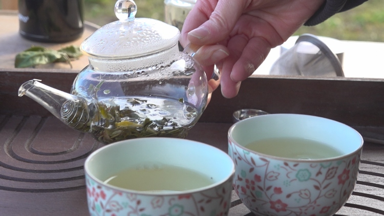 Illatos, aromás zöld tea Vácról