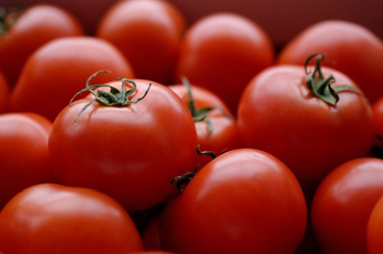El tomate español perdió competencia en el mercado británico