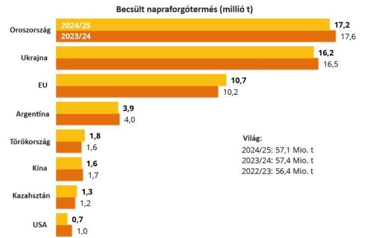 napraforgó termés