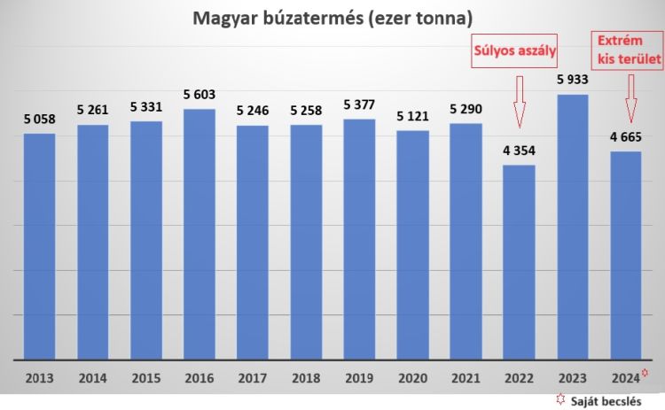 búzatermés