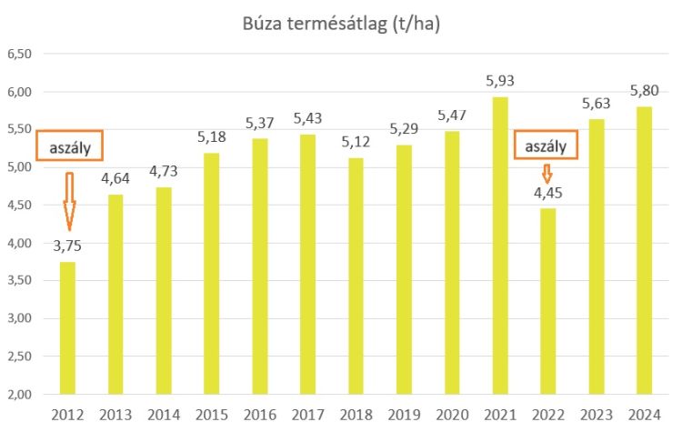 búza termésátlag