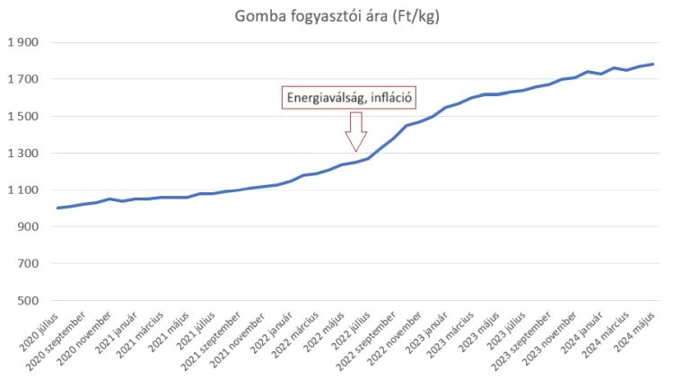  gomba ára