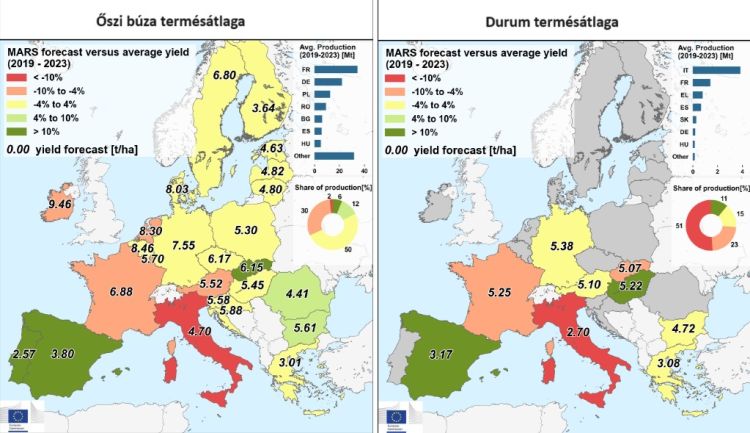 kalászosok uniós termésátlag