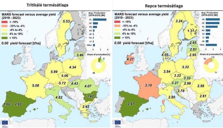 kalászosok uniós termésátlag