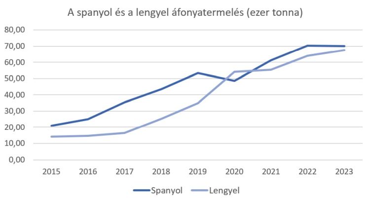 lengyel spanyol áfonyatermelés