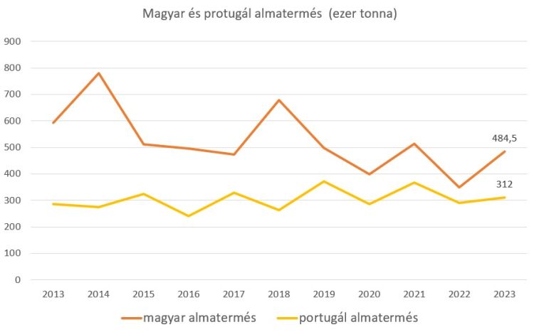 magyar portugál almatermés