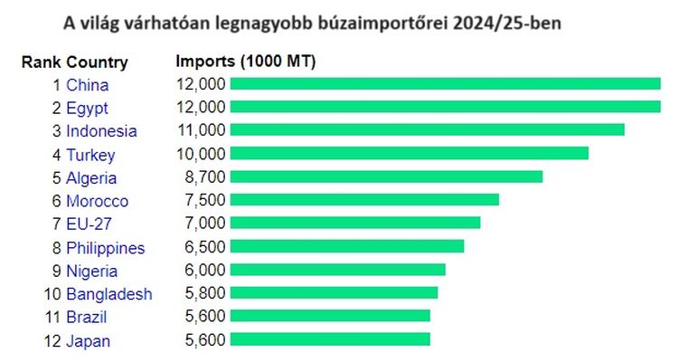 top búzaimportőrök