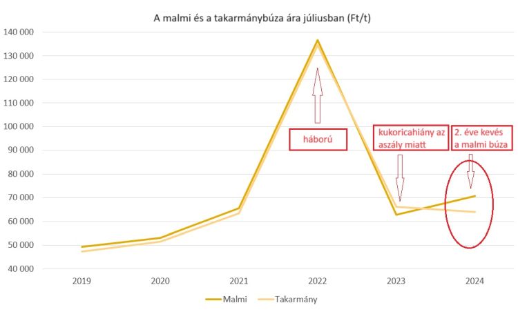 malmi és takarmánybúza ára