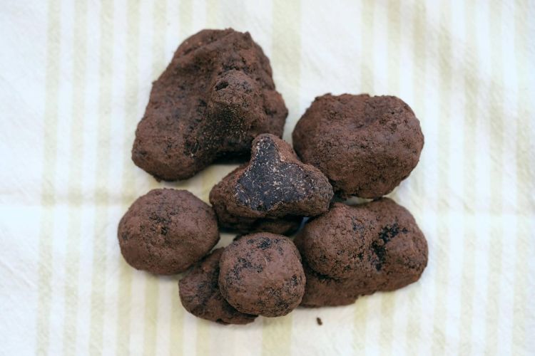 Francia szarvasgomba (Tuber melanosporum)