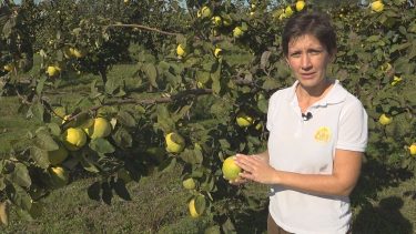 Matus Dóra, a Birsbirtok tulajdonosa