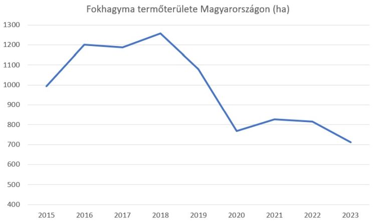 fokhagyma területe