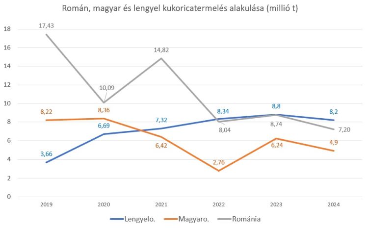 kukorica termelés