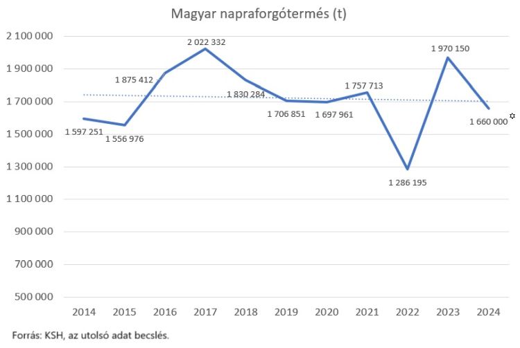 magyar napraforgó termés