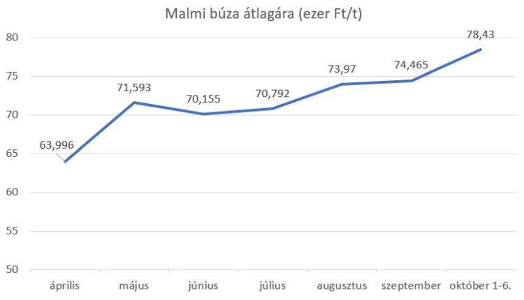 malmi búza ára