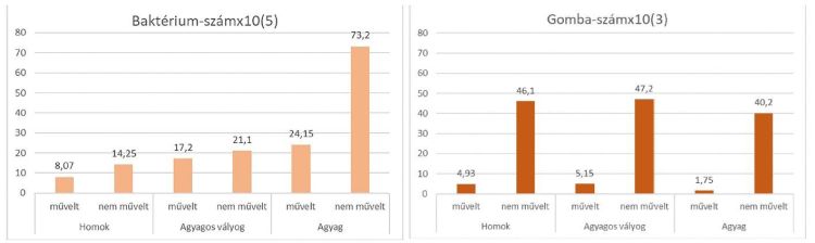 művelt és nem művelt talajok kitenyészthető MPN baktérium gomaszáma