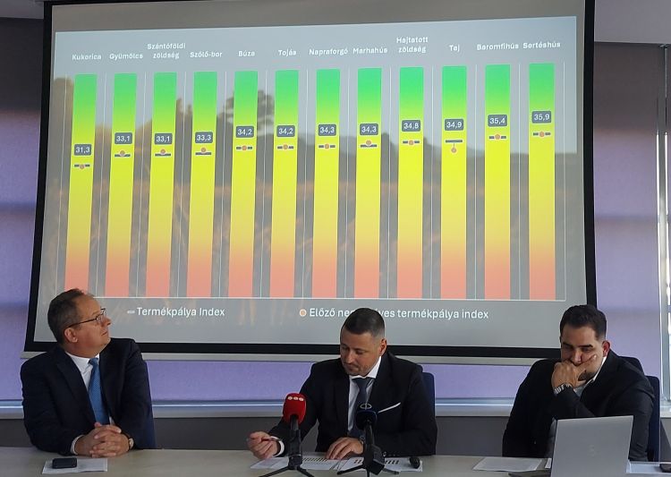 Petőházi Tamás, Hollósi Dávid és Héjja Csaba (fotó: Horizont Média)