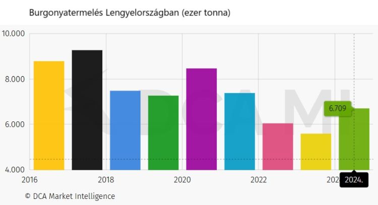 lengyel burgonya termelés