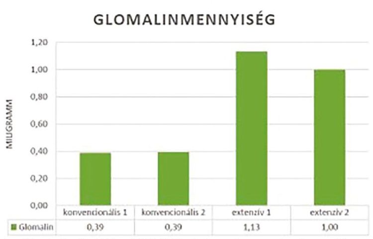 A mikorrhiza gombák által kiválasztott ragasztóanyag