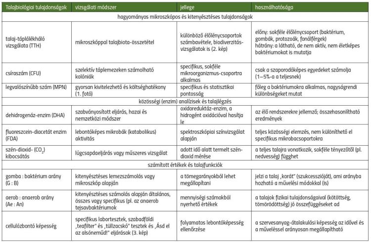 2. ábra. A hagyományos, a takarónövénnyel vagy a szénamulccsal fedett körülmények vizsgálati értékelése paradicsom termesztésénél. Jelmagyarázat: zöld: kedvező; sárga: közepes; piros: kedvezőtlen változás a talajban (MezőHír, 2023. május, p. 60–63., Szvitacs Eszter szakdolgozata)