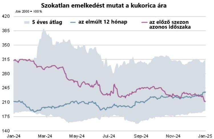 Egyre több a szója