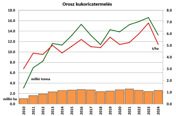 orosz kukoricatermelés