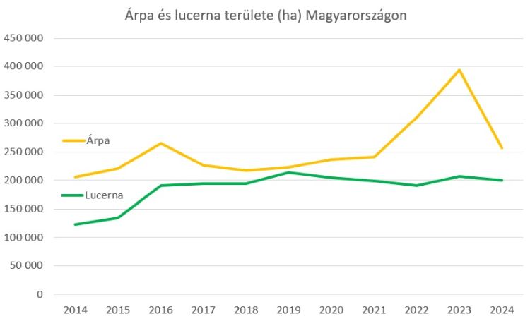 árpa lucerna terület