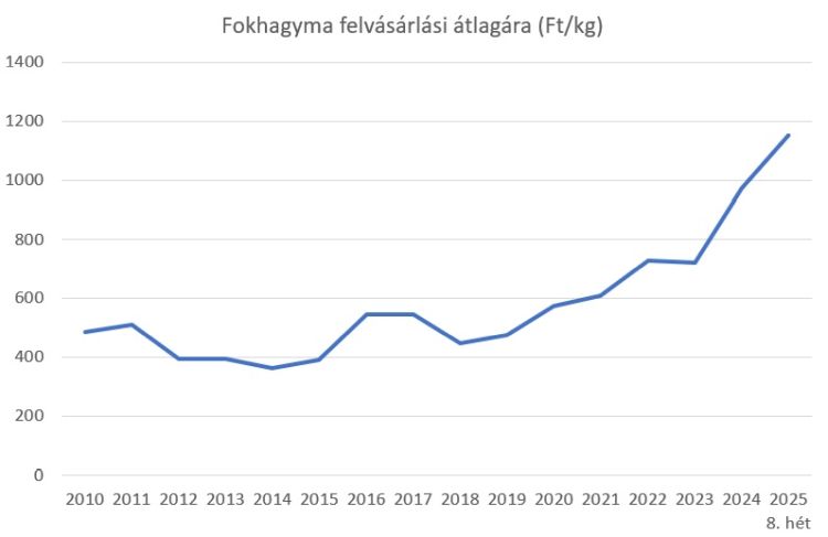 fokhagyma ára