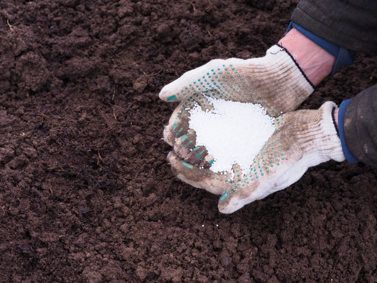 Veszélyben az EU agráriuma: brutális műtrágyadrágulás jöhet