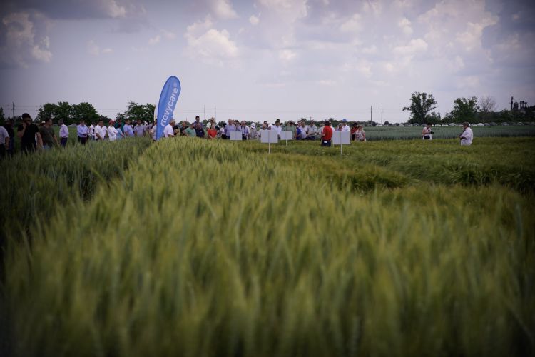 A mezőgazdaság a legfontosabb hivatás a világon