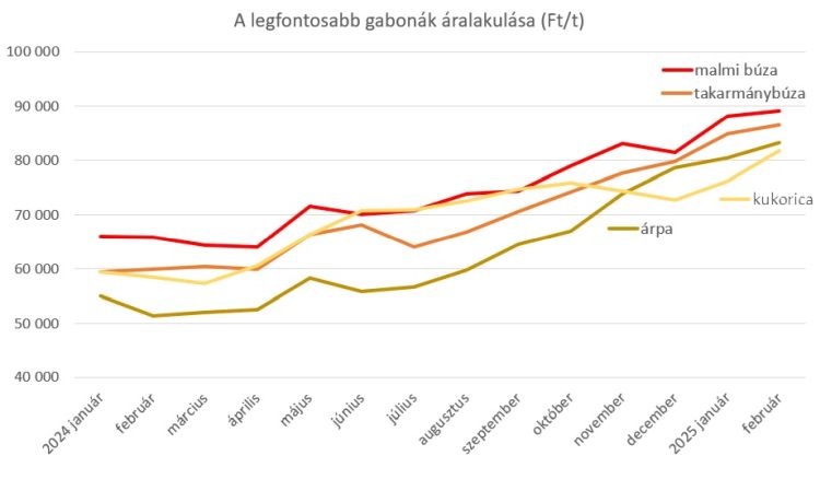 gabonák ára