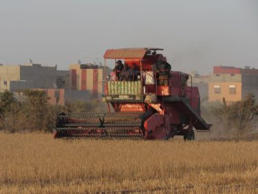 aratás