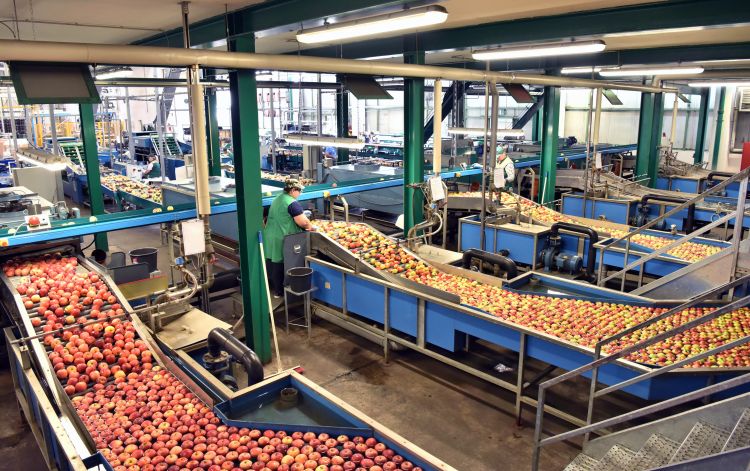 Két nap, két kihagyhatatlan agráresemény májusban