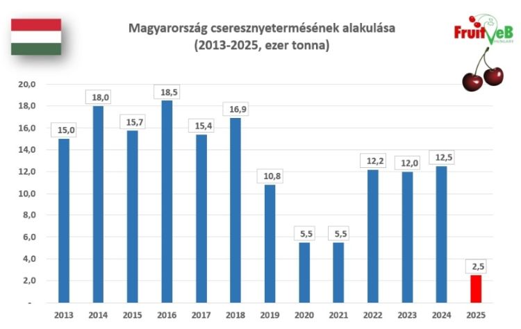 cseresznye termés