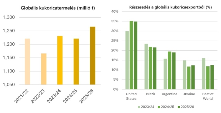 kukorica termés export